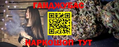 гашик Камышлов