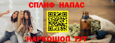 гашик Камышлов