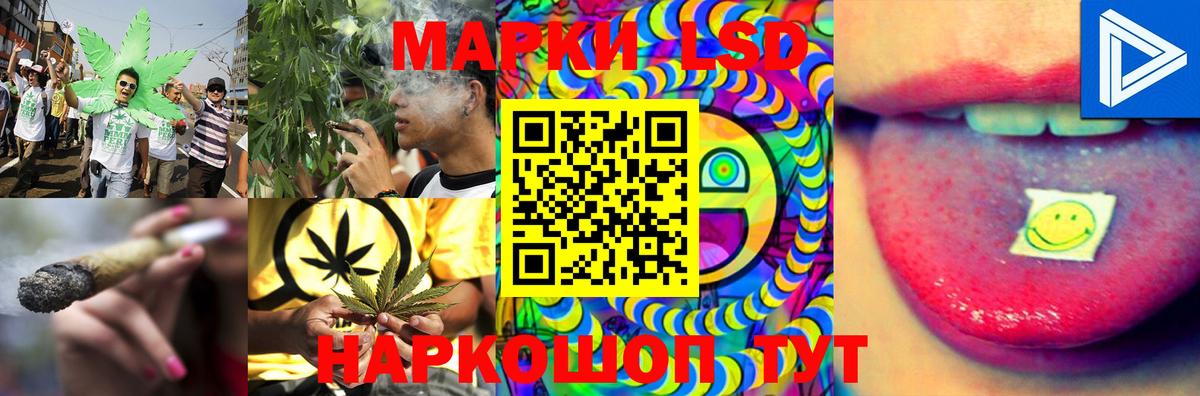 omg ТОР  LSD-25 экстази ecstasy  Ставрополь  Вход с VPN  ЛСД экстази ecstasy 