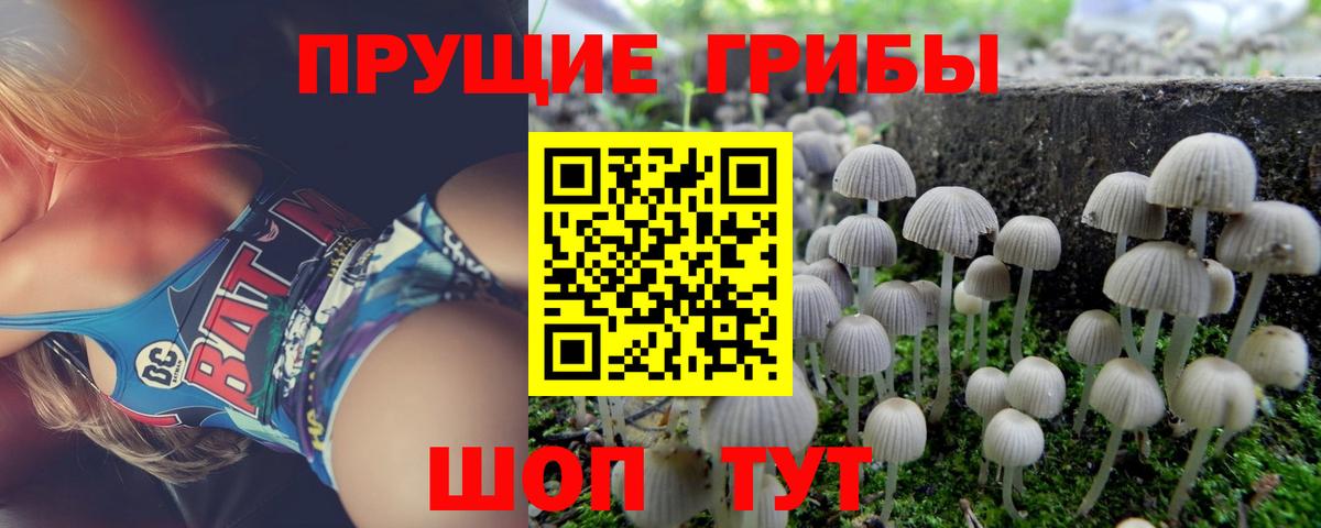 Ставрополь  Псилоцибиновые грибы Cubensis  Галлюциногенные грибы Cubensis  Вход с VPN 